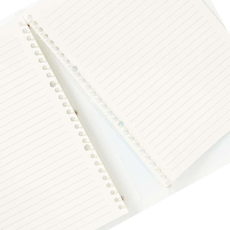 Blue Loose-Leaf Notebook