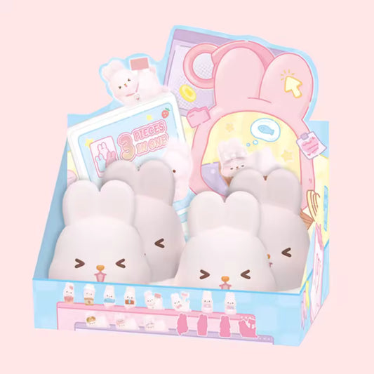 MOMO BUNNY 24h Life Diary Series