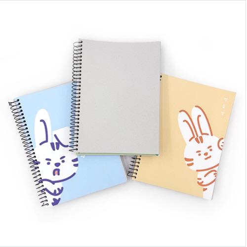UNDERCOVER RABBIT DRAWING BOOK