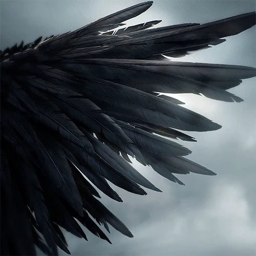 [PRE-ORDER] WE GO-6 - 1st Mini Album [SIX HEARTS] (Wolf Photocard Ver.)