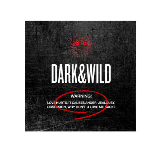 BTS  1ST ALBUM - [DARK&WILD]